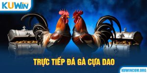 Trực tiếp đá gà cựa dao