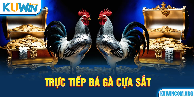 Trực tiếp đá gà cựa sắt