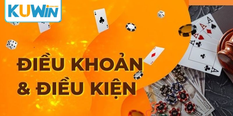 Điều khoản và điều kiện hướng dẫn quy trình giải quyết khiếu nại